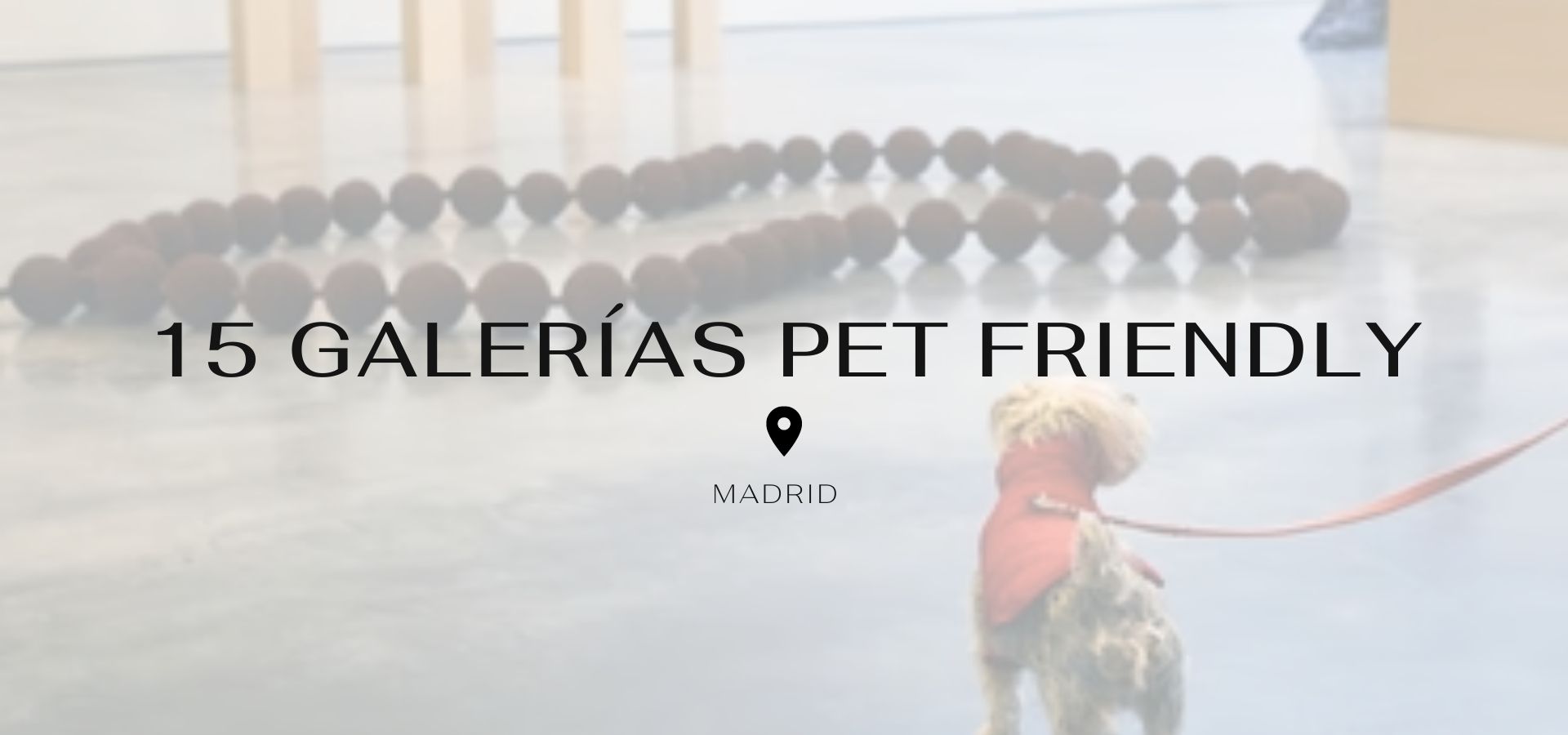 4 pet-friendly art gallery tours to visit with your pet