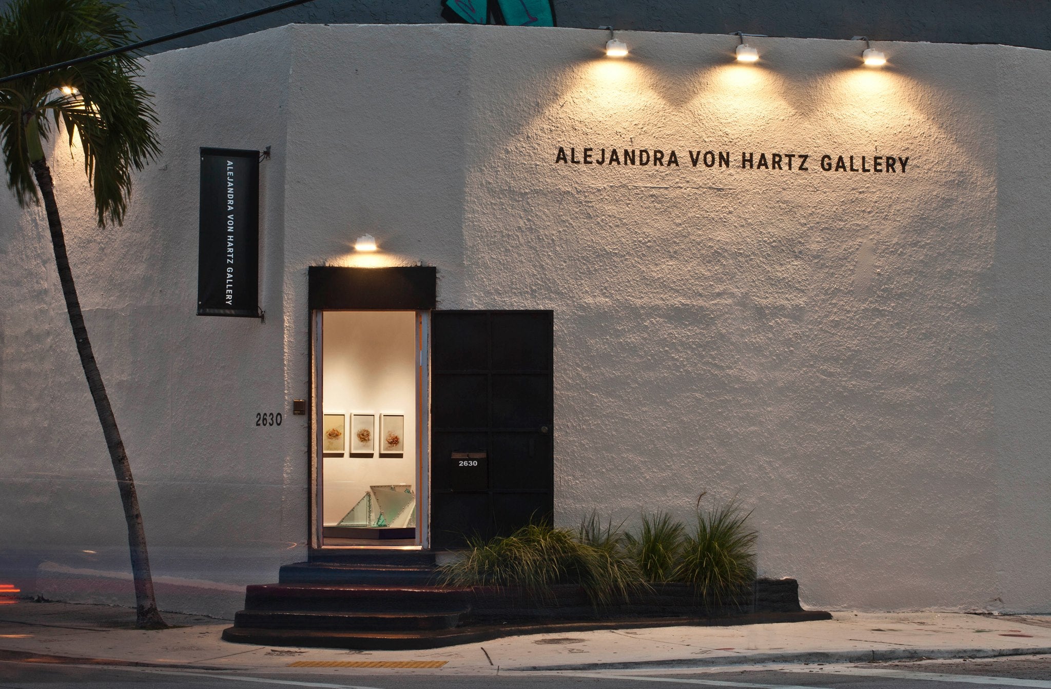 Alejandra von Hartz Gallery